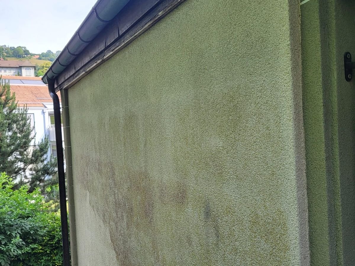 Rendered façade turned green by algae and moss before washing